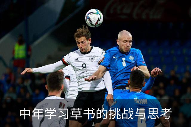 中年学习草书的挑战与思考